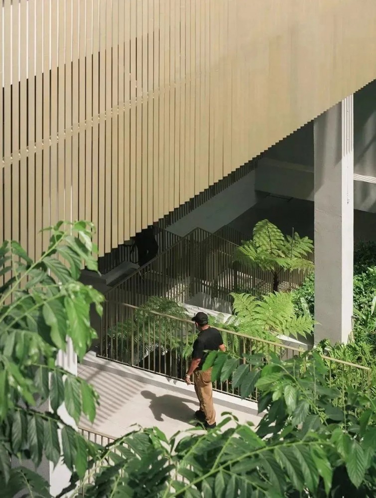 1688348656103191.jpg 1688348656103191.jpg